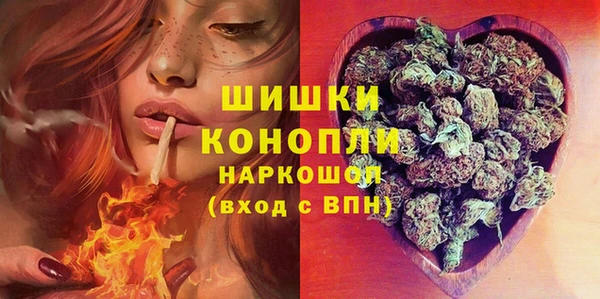 индика Мегион