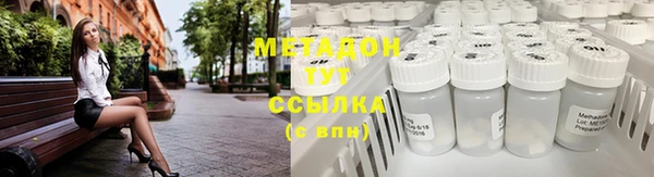 индика Мегион