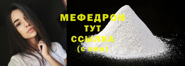 индика Мегион