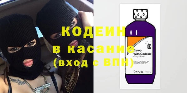 индика Мегион