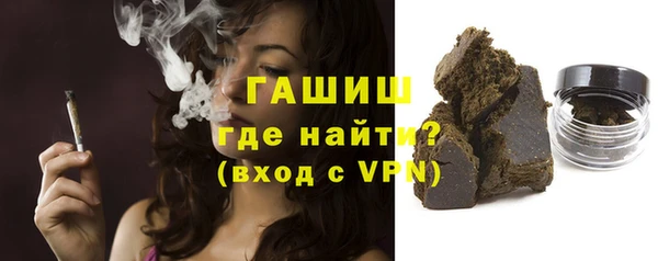 индика Мегион
