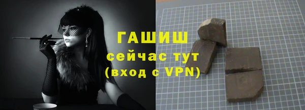 индика Мегион