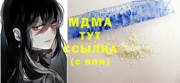 индика Мегион