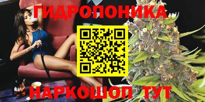 ешки Аргун