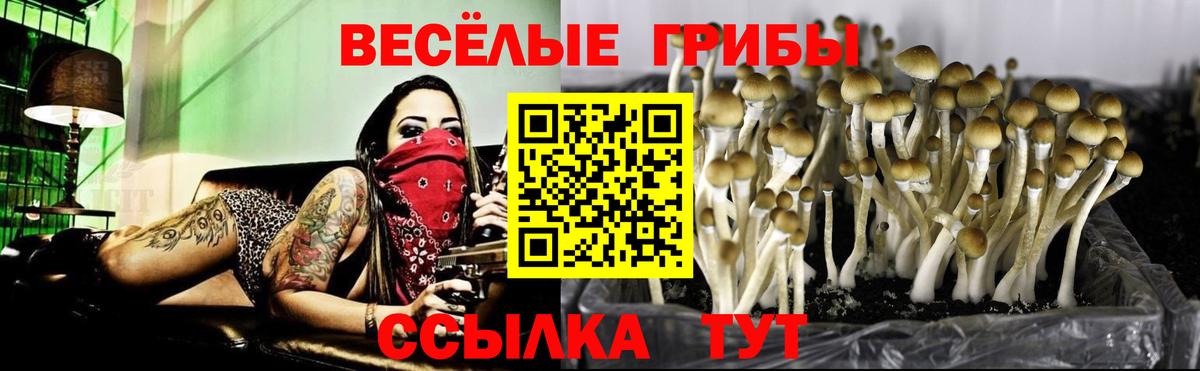 Галлюциногенные грибы мицелий Кореновск