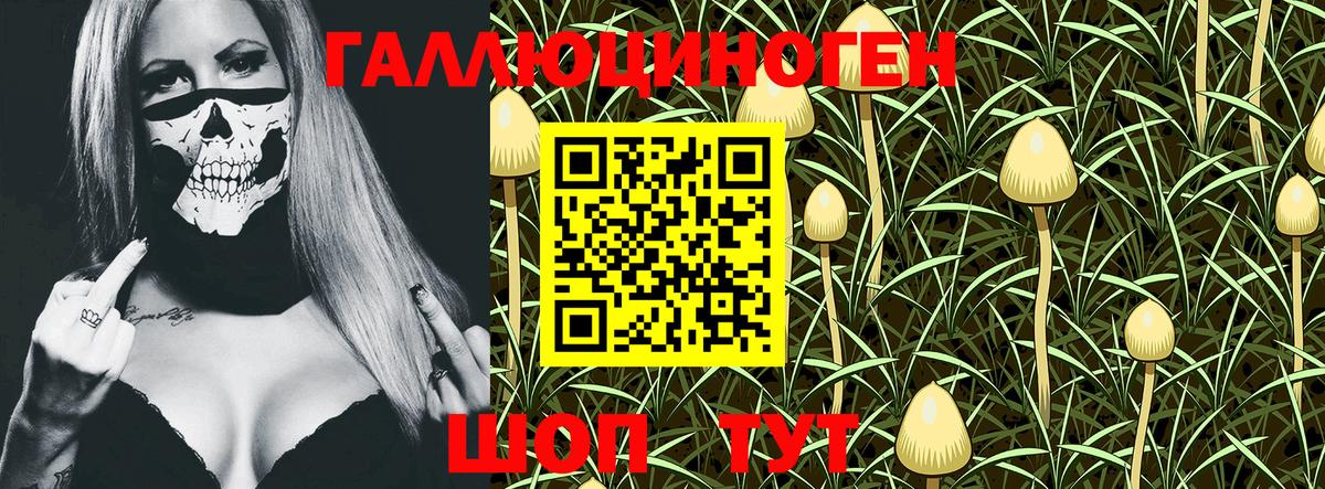 Псилоцибиновые грибы MAGIC MUSHROOMS  Псилоцибиновые грибы прущие грибы  Кореновск  Вход с VPN 